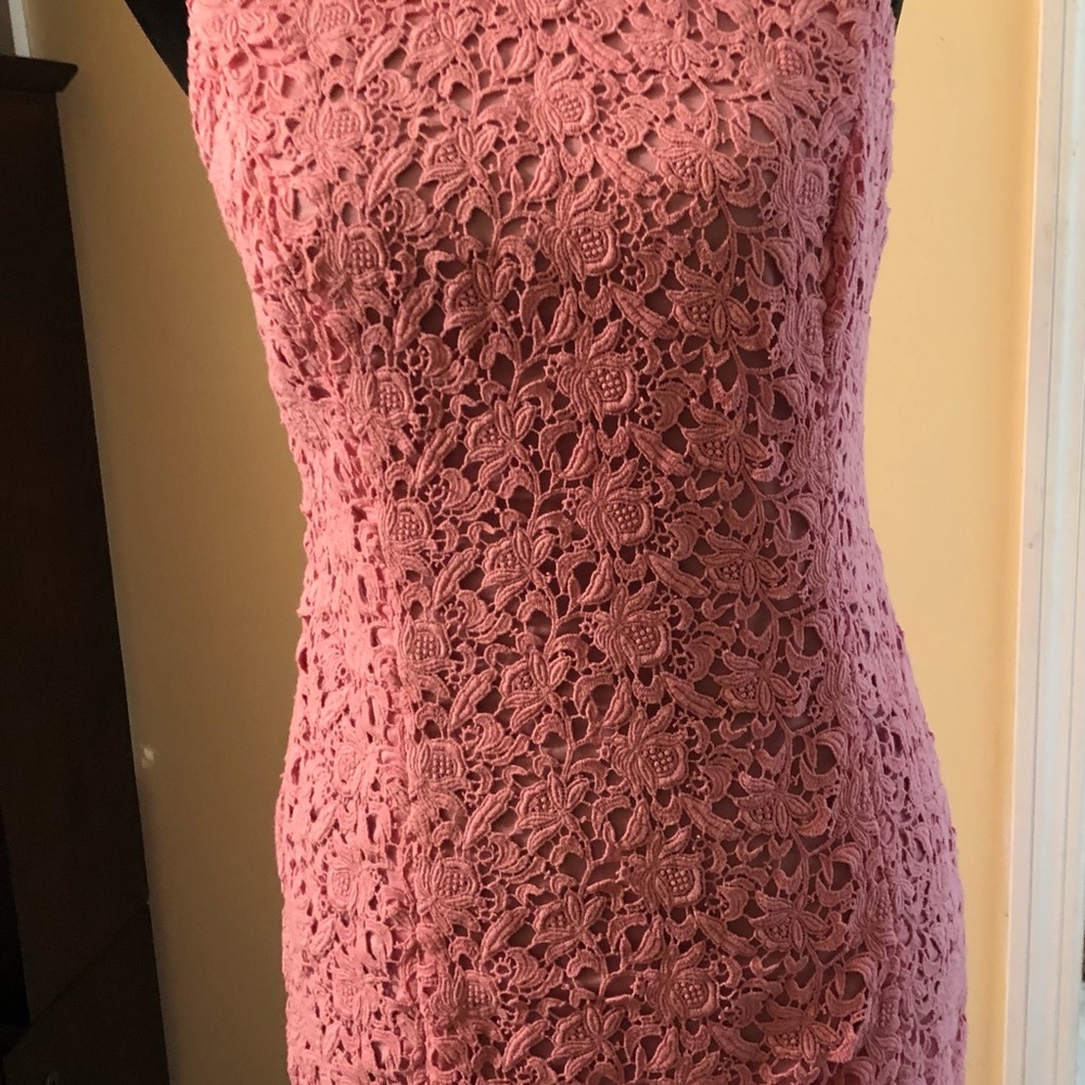 Talbot’s Pink Lace Beauty.